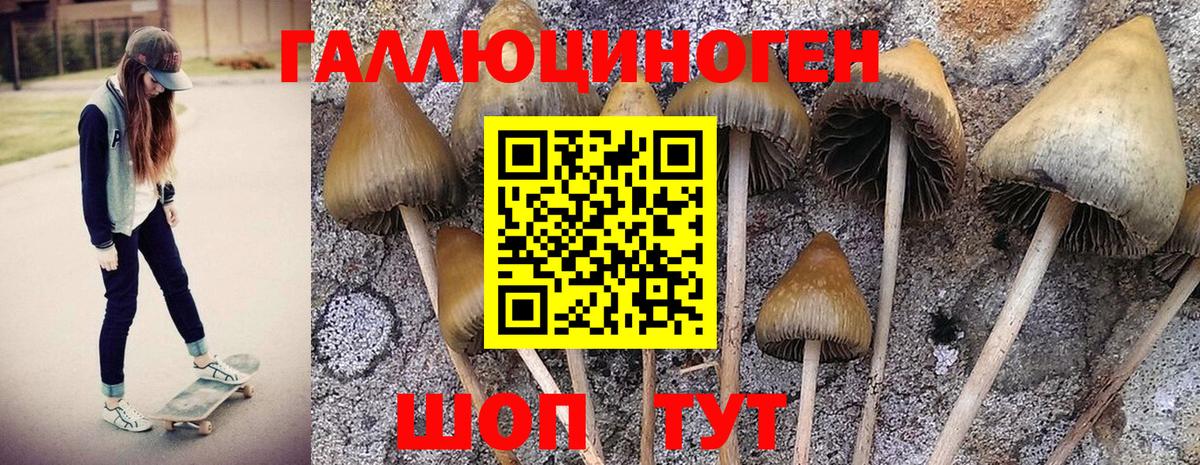 Галлюциногенные грибы прущие грибы  Вход с VPN  Псилоцибиновые грибы GOLDEN TEACHER  Ефремов 